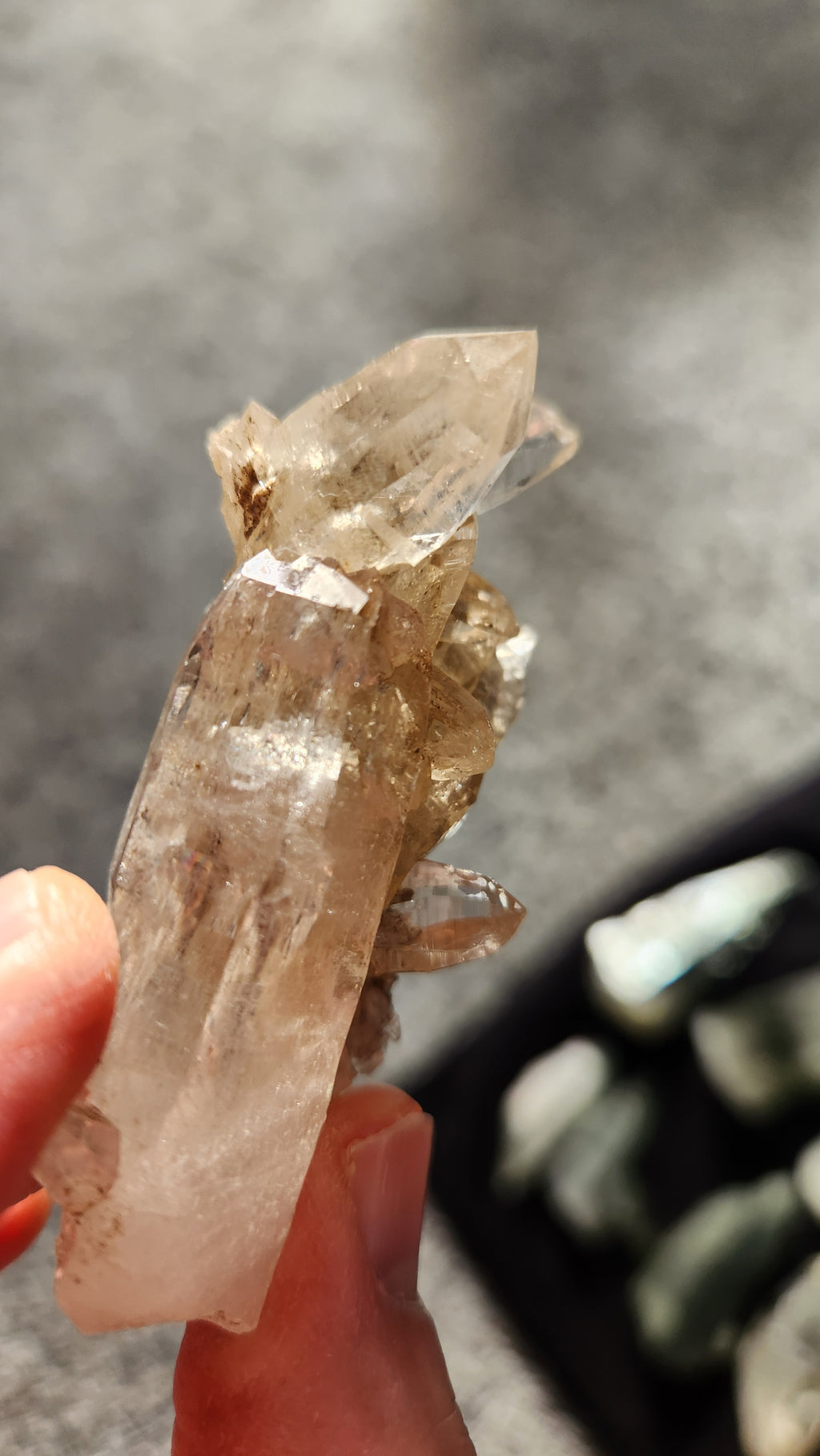 Clear Quartz Cluster with External Chlorination